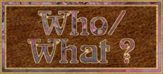 Who, what is RDE Lutherie