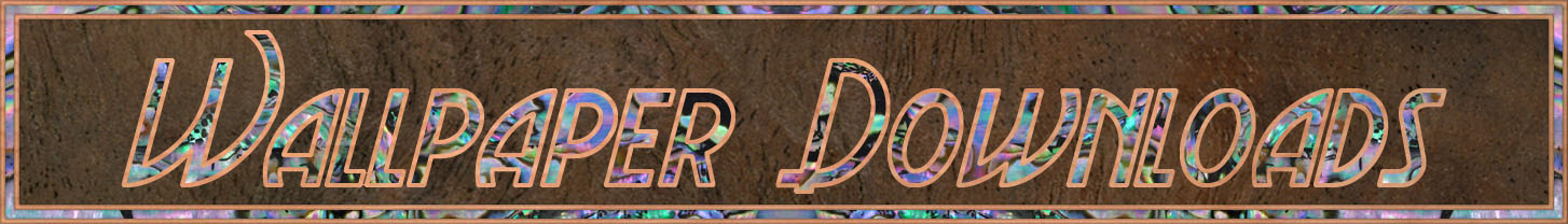 About Q and A's Header