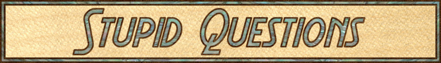 Stupid Q & A header