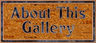 About this gallery link