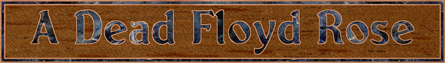 A dead Floyd Rose header