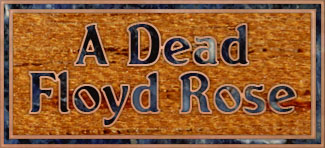 A dead Floyd Rose link