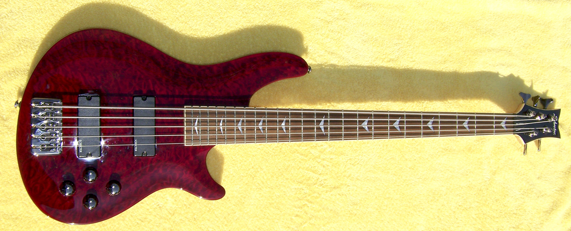 2008 Schecter Omen Extreme 5